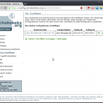 Gutes WebHosting: SSL-Zertifikate