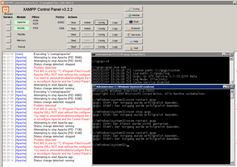 Gogs (Go Git-Server) unter Windows.